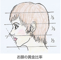 お顔の黄金比率