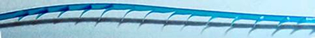 アプトス、ハッピーリフトの棘