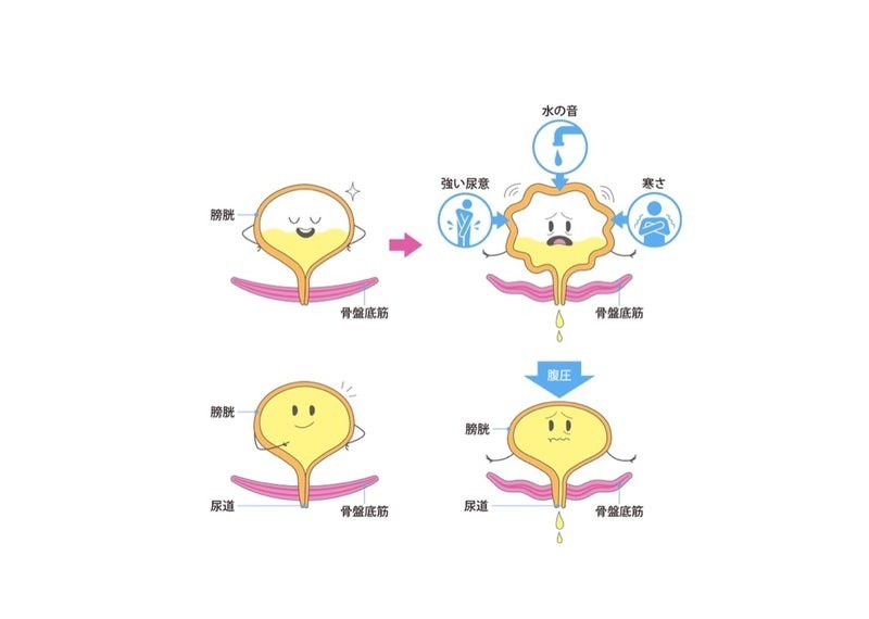 b78f0a4f7b3fd2df42b7ac8fb9052daf-1788419702.jpg b78f0a4f7b3fd2df42b7ac8fb9052daf-1788419702.jpg
