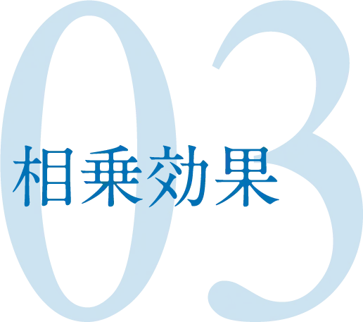 03 相乗効果